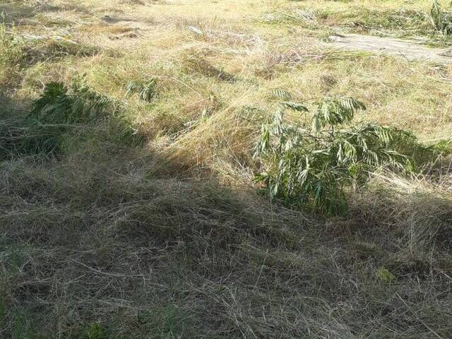 Área para Venda em Rio de Janeiro - 5