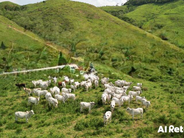 Fazenda para Venda em Rio Bonito - 2