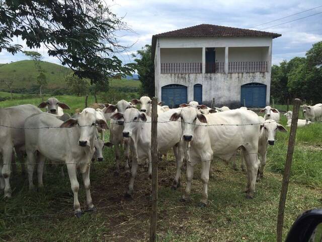 #Sergio02 - Fazenda para Venda em Silva Jardim - RJ - 1