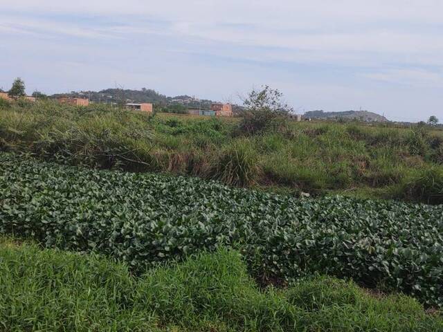 Terreno para Venda em Rio de Janeiro - 4